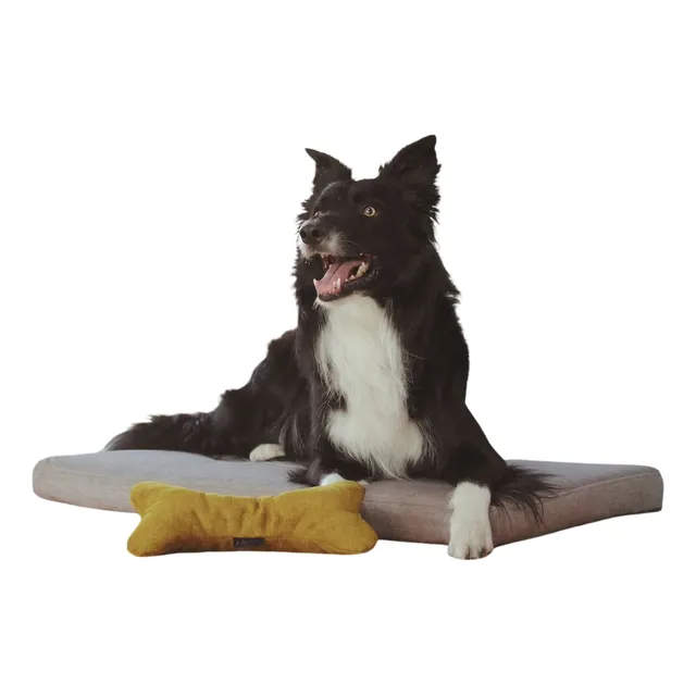Cama Xl Colchón Ortopédico Con Cierre Mascotas 89x56x7,5cm