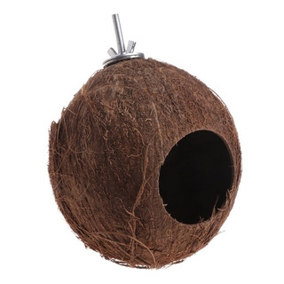 Pássaro Papagaio Finch Ninho Natural Coco Shell Pendurado Co Pássaro Papagaio Finch Ninho Natural Coco Shell Pendurado Co
