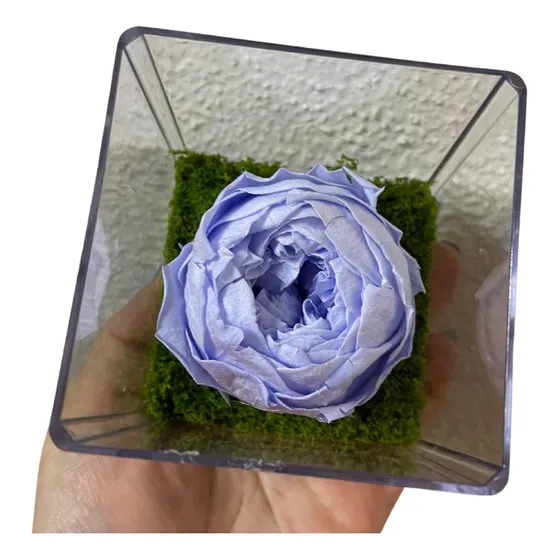 Peonia Eterna Con Nombre Personalizado En Caja De Acrilico