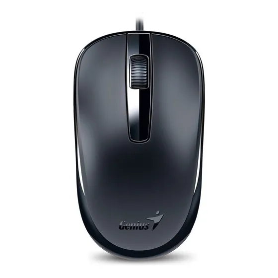 Mouse Genius DX-120 calm black
