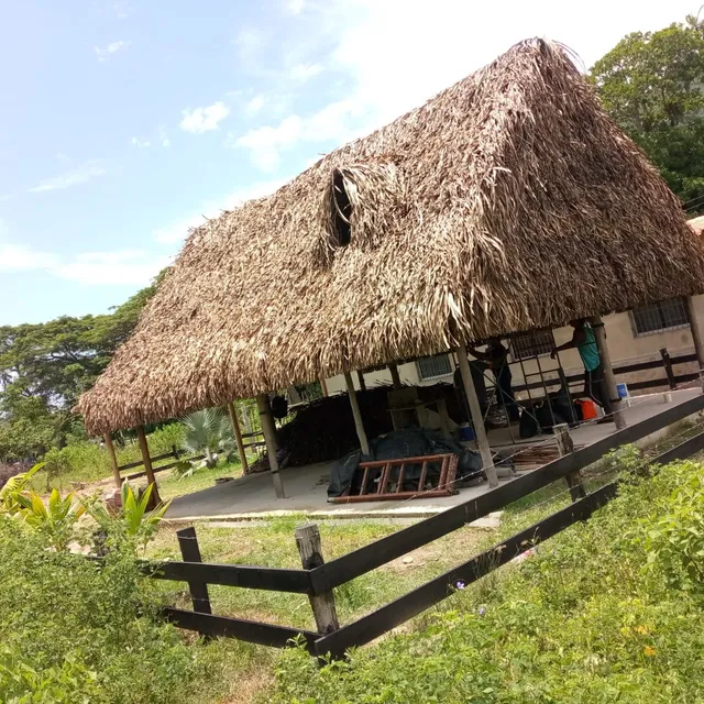 Fabricación De Bohios Y Churuatas
