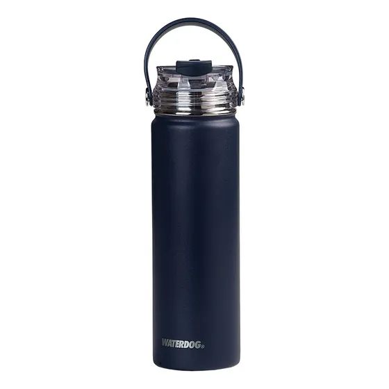 Botella Térmica Waterdog Akwa 650ml Acero Inoxidable C/pico Color Azul IN
