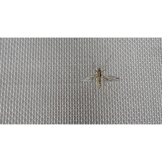 Tela Mosquitera Sancudos Malla Acero Inoxidable 1 Metro
