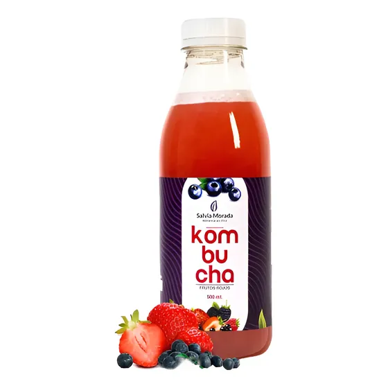 Kombucha Bebida Probiotica Detox Mejora Tu Flora 500ml Sabor Frutos Rojos
