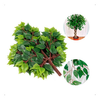 Kit 12 Galhos Folha De Ficus Artificial Decoração Folhagem Kit 12 Galhos Folha De Ficus Artificial Decoração Folhagem