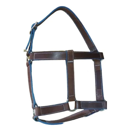 Jaquima De Cuero Para Caballos
