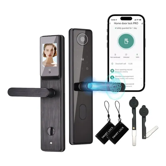 Cerradura Inteligente Electrónica Wifi Con Cámara Visual/app
