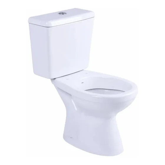 Sanitarios Inodoro Largo + Mochila Apoyar Capea