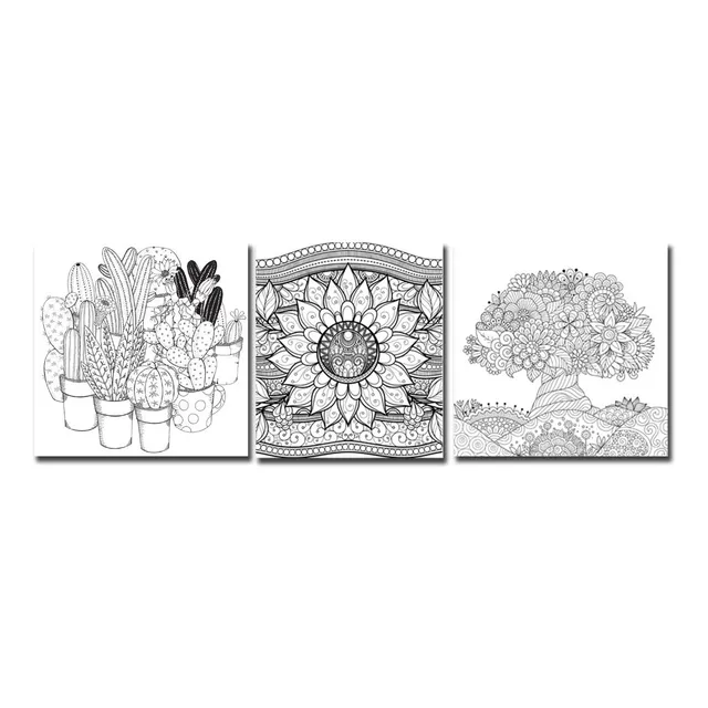 Cuadro Para Colorear Medida 30x40 Diseños Para Adultos