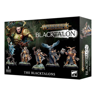 Warhammer Age Of Sigmar Stormcast Eternals Los Blacktalons Warhammer Age Of Sigmar Stormcast Eternals Los Blacktalons