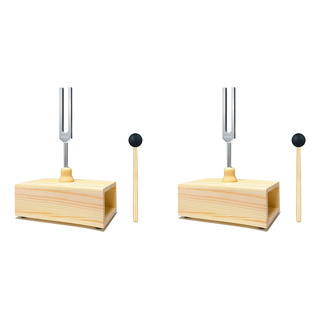 2 Diapasones De 432 Hz Con Caja De Resonancia, Para Curación 2 Diapasones De 432 Hz Con Caja De Resonancia, Para Curación
