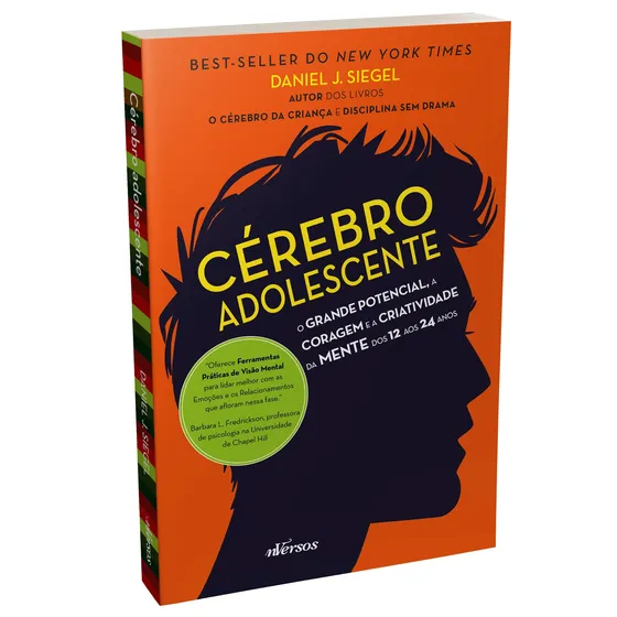 Cérebro Adolescente de Daniel J. Siegel Editora nVersos Capa Mole Em Português 2016