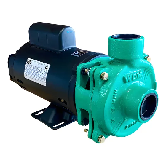 Bomba Centrífuga Monofásica Ee1.5 Wdm 2cv Ip21 Motor Weg