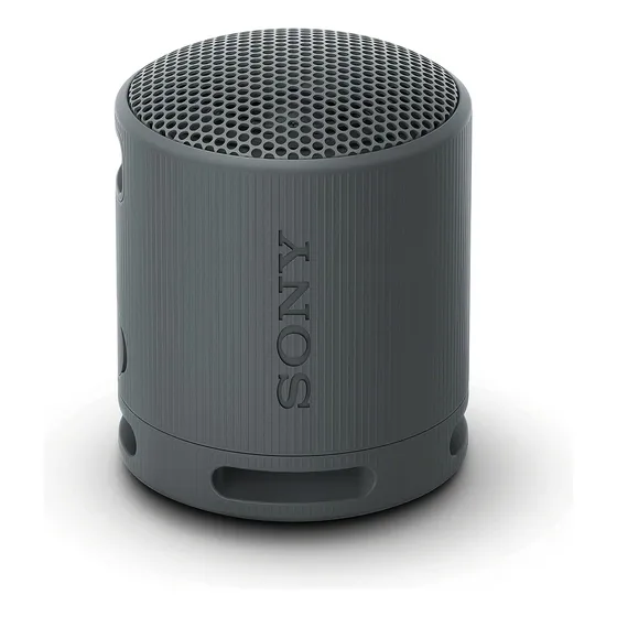Alto-falante Sem Fio Sony Xb100, Com Bluetooth, Ip67, Preto