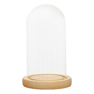 Cúpula De Vidrio Cloche Bell Jar Base De Madera 12x28cm Cúpula De Vidrio Cloche Bell Jar Base De Madera 12x28cm