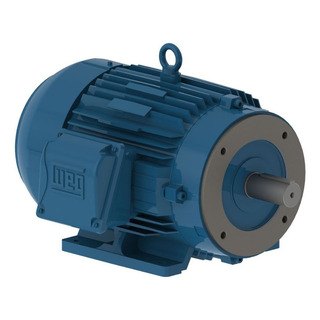 Motor Weg Trifás W22 Premium 0.33cv 4p 63 220/380v 60hz B34d Motor Weg Trifás W22 Premium 0.33cv 4p 63 220/380v 60hz B34d