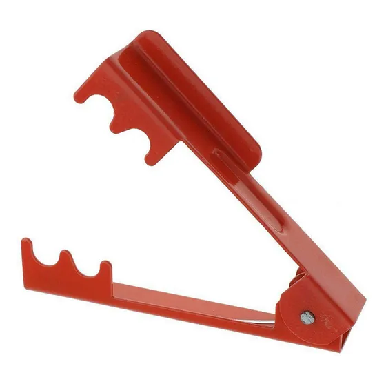 Ramo Rosa Floristeria Jardin Para Cultivada Casa Rojo