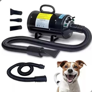 Secador E Soprador 2400w Para Estofados Sofas Camas E Pets Secador E Soprador 2400w Para Estofados Sofas Camas E Pets