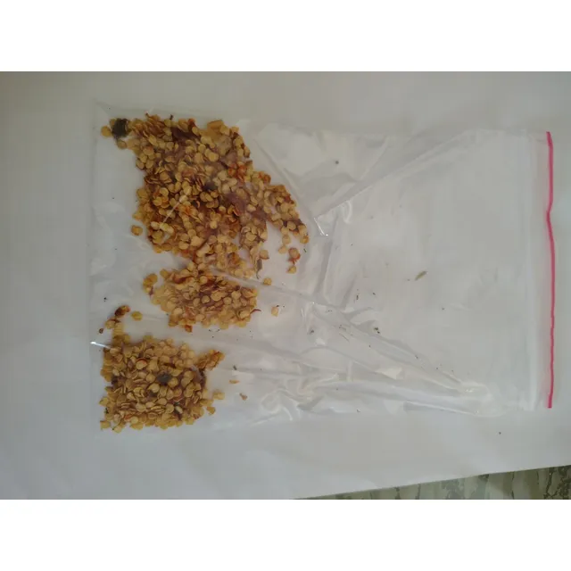 Sementes De Pimenta Malagueta 1g