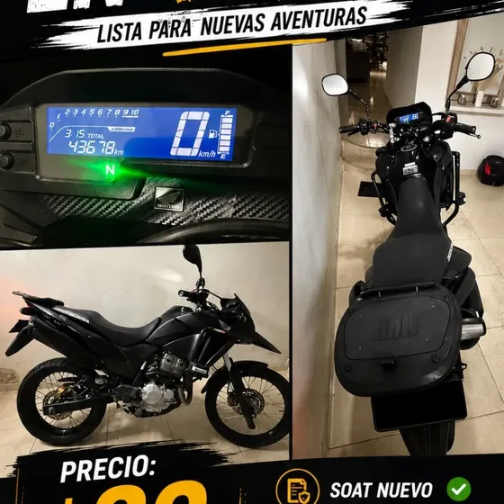 Contacto 3152044214