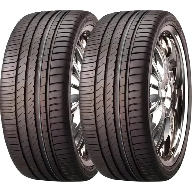 Kit de 2 llantas Winrun R330 P 225/30R20 85 W