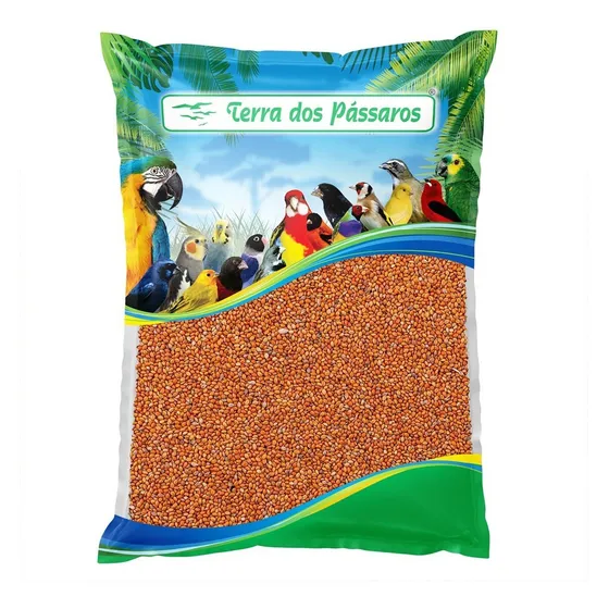 Painço Português Salmão - 500g