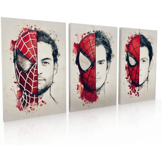 Cuadro Decorativo Canvas Jungle Art Spiderman Set 3