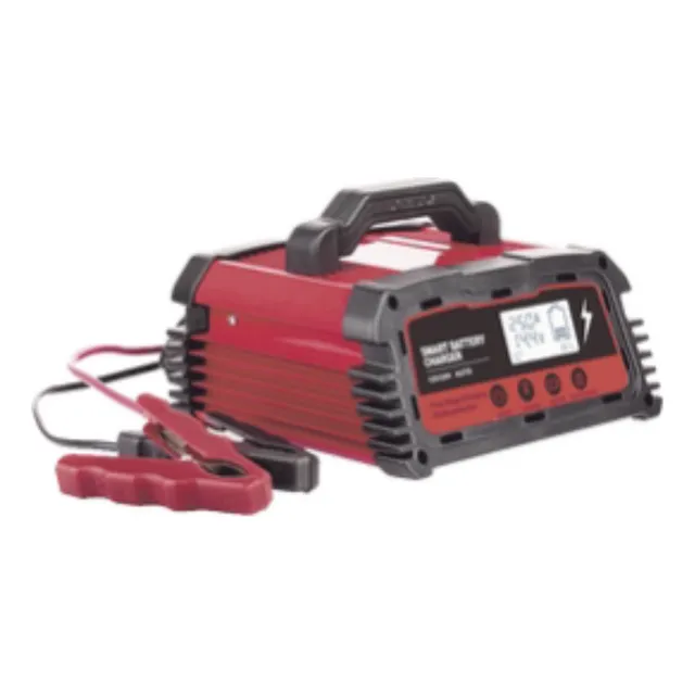 Cargador De Baterías 12 O 24 Vcc Hasta 250 Ah 25 A Display