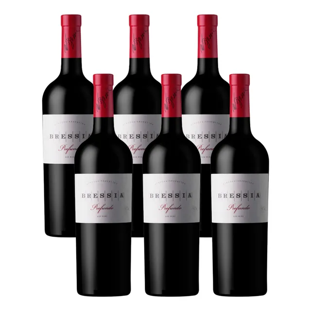 Vinho Argentino Bressia Profundo Tinto 750ml Kit 6 Garrafas