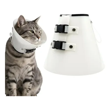 Colar Elizabetano Para Gato Uso Veterinário E Doméstico Cor Branco Lisa Tamanho Da Coleira P