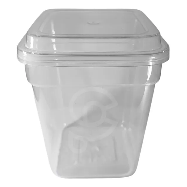 Tina Plástica Transparente Cuadrada Envase 9 Oz