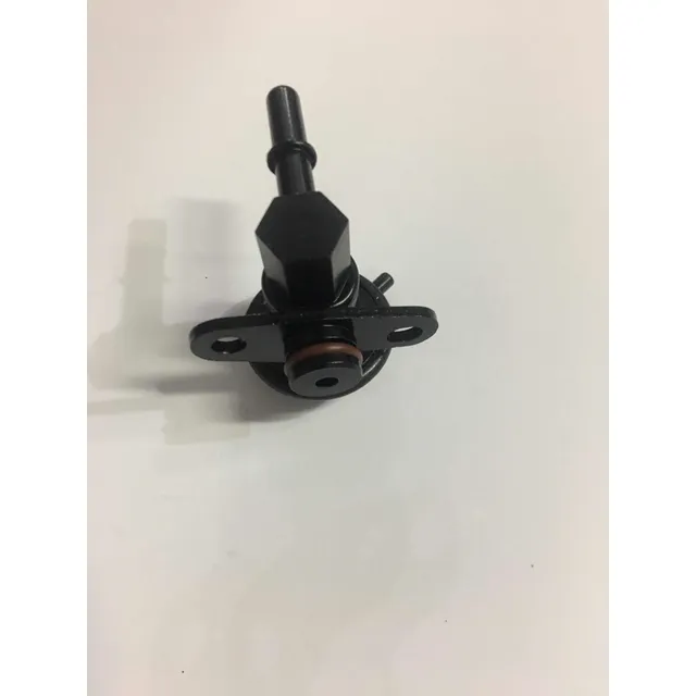 Regulador De Gasolina Sorento Sedona 3.5