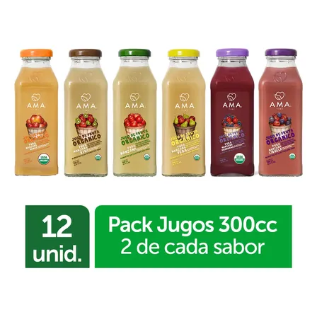Pack Jugos 12 Unidades Jugos Fruta Orgánica 300cc