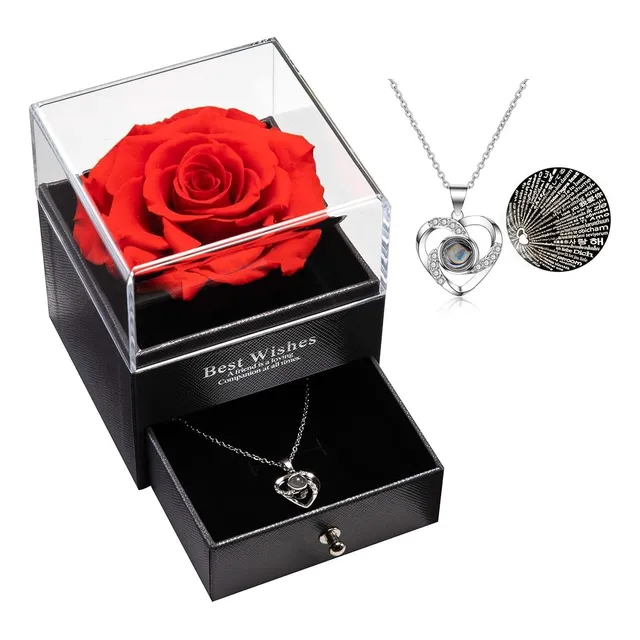 Rosa Preservada Eterna Con Collar 100 Te Amos Idiomas