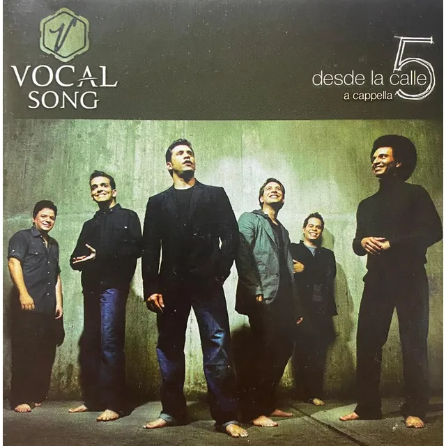Cd - Vocal Song / Desde La Calle 5
