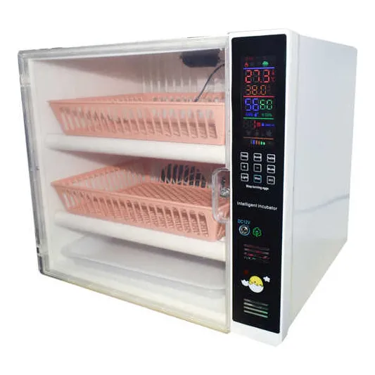 Incubadora De 60 Huevos Tipo Microondas Dual 220v/12v