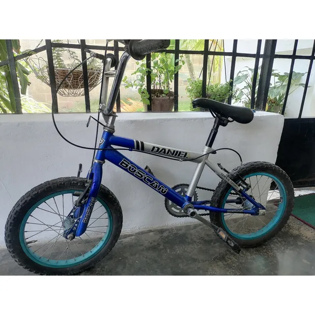Bicicleta Rin 16 Usada.