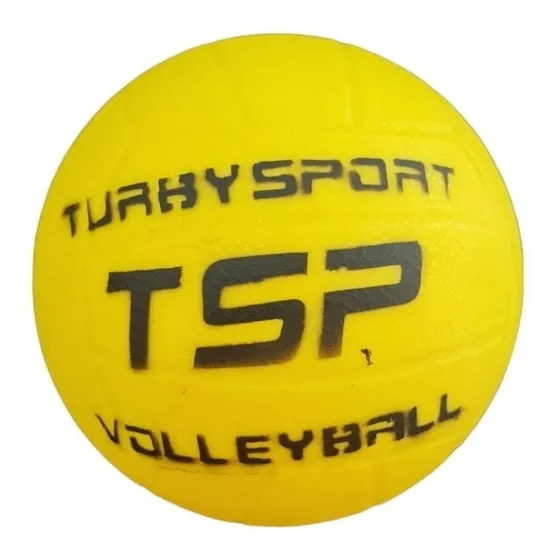 Pelota Voley Entrenamiento Escuela Didactica Pvc Tsp N° 5