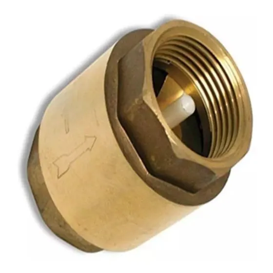 Válvula Check 1 Pulgada De Bronce