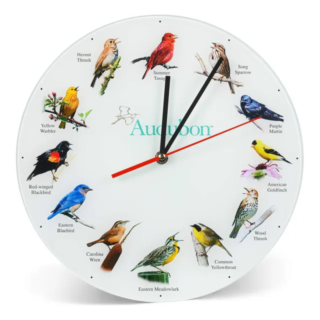 Reloj Pared Redondo Cristal Liso 12.0 in Color Blanco