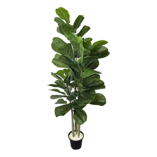Ficus Lyrata Planta Arvore Artificial Toque Real Realista Ficus Lyrata Planta Arvore Artificial Toque Real Realista