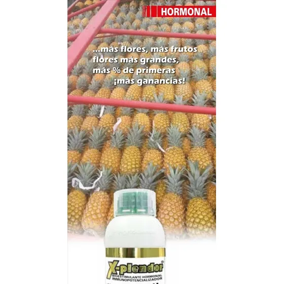 Xplendor® 250 Ml Bioestimulador De Floración. Citocininas