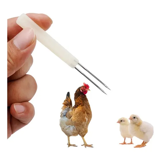 Agulha Vacinação Bouba Aviária Aves Galinha Codorna Pato