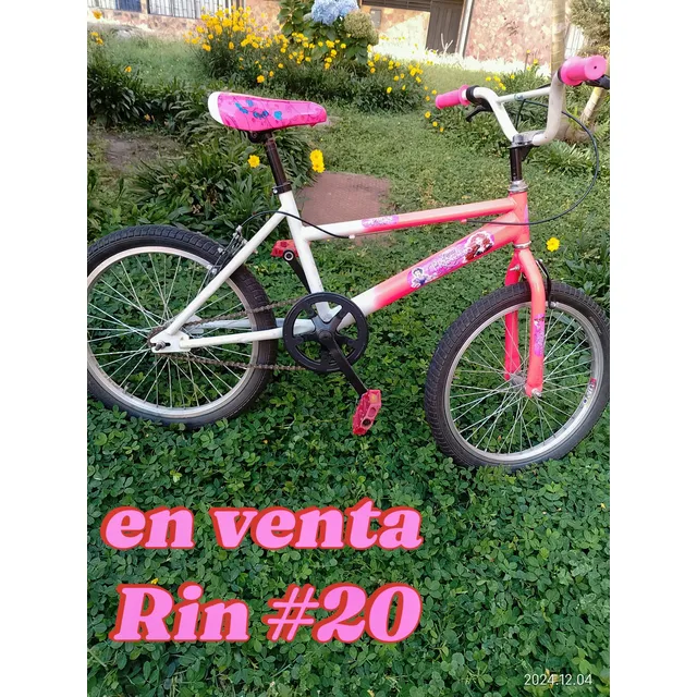 Bicicleta Usada Rin#20