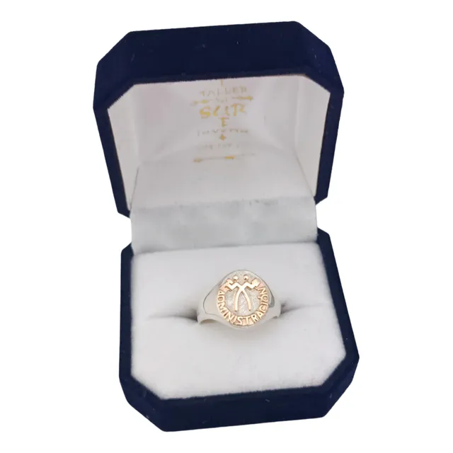 Anillo Profesión-ofició Administrativo En Plata Y Oro 9k