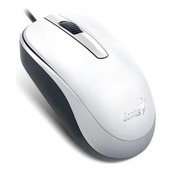 Mouse Genius Dx-120 Usb 