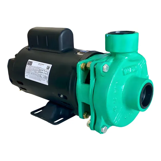 Bomba Centrífuga Monofásica Wdm 1,5cv Motor Weg Alta Vazão Cor Verde Frequência 60 Hz 127/220v-254v