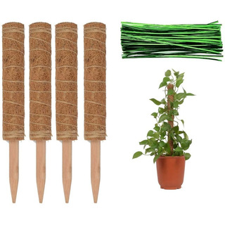 Soporte Tutor Con Musgo Para Plantas 4 Unidades Soporte Tutor Con Musgo Para Plantas 4 Unidades