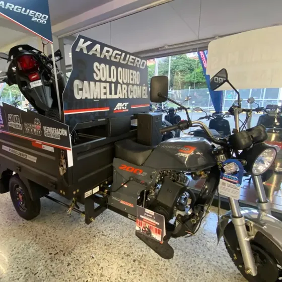 Akt Karguero Carguero 3w 200 2027
