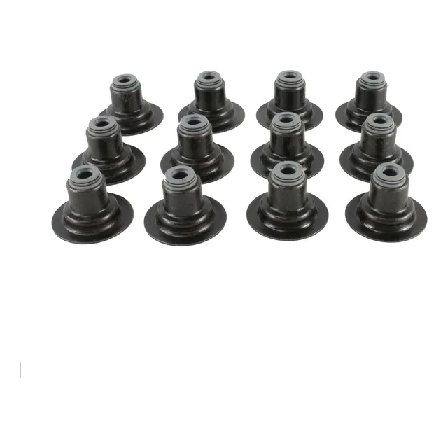 Juego Gomas Valvulas Pontiac Torrent 3.6l V6 08-09